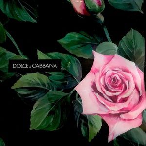 Dolce and Gabbana Swim Top